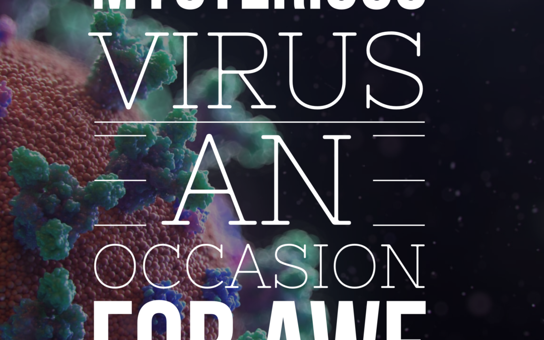 Mysterious Virus an Occasion for Awe